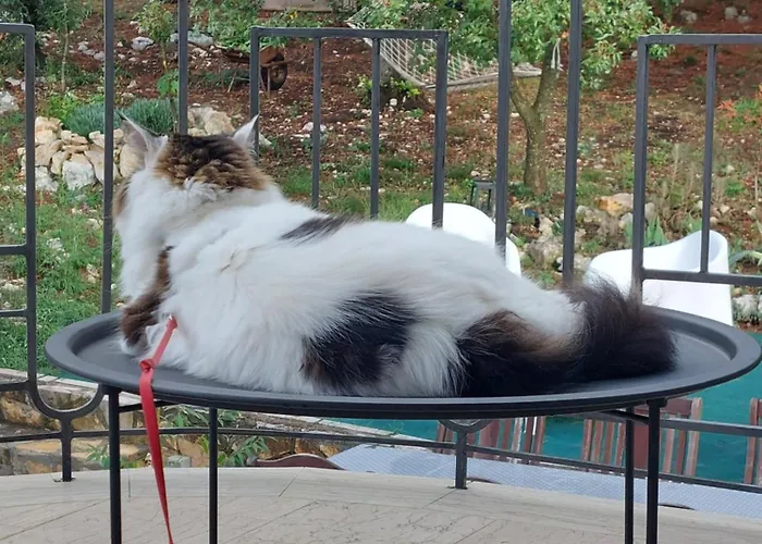 Marta Διαμέρισμα *