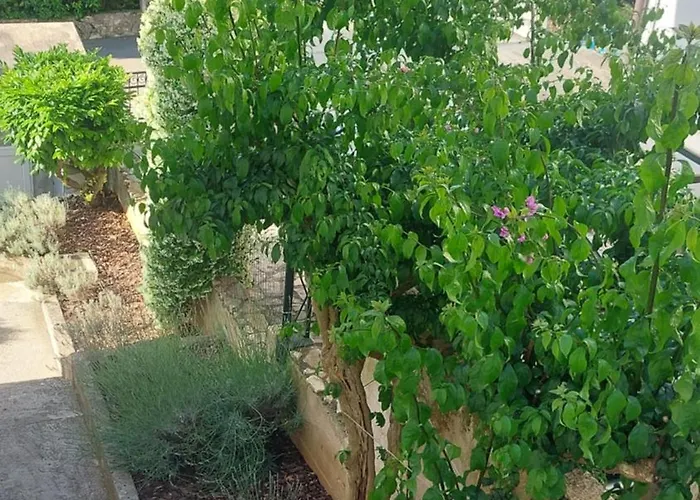 Διαμέρισμα Marta *